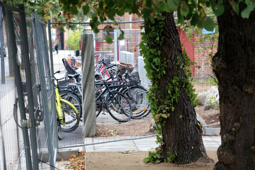 Amager Fælled Skole