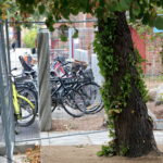 Amager Fælled Skole