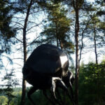 Giant Beetle