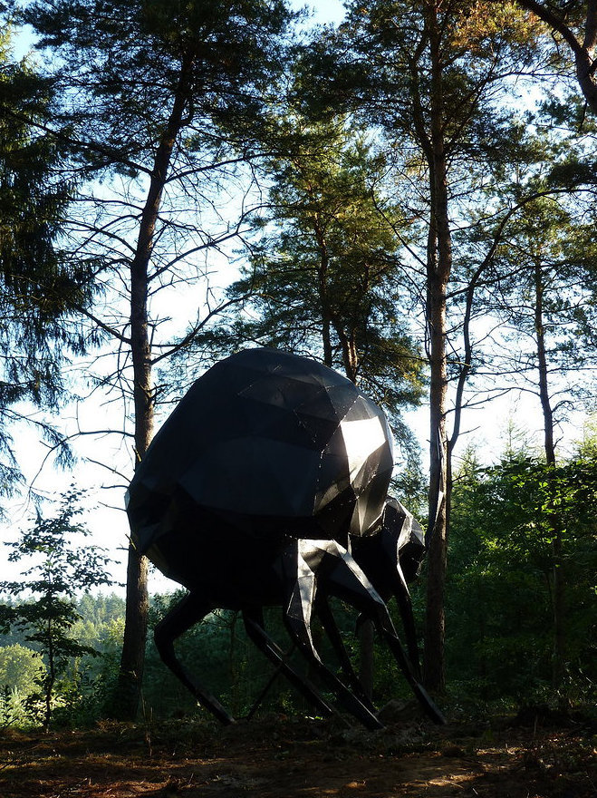 Giant Beetle