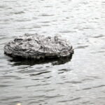 Floating frozen pond