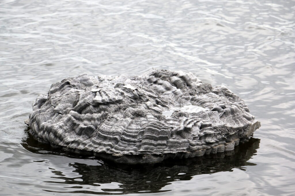 Floating frozen pond