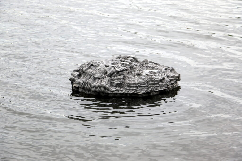 Floating frozen pond