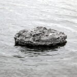 Floating frozen pond