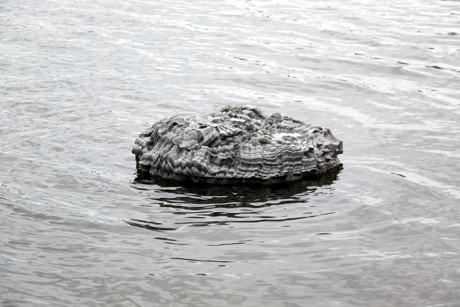 Floating frozen pond