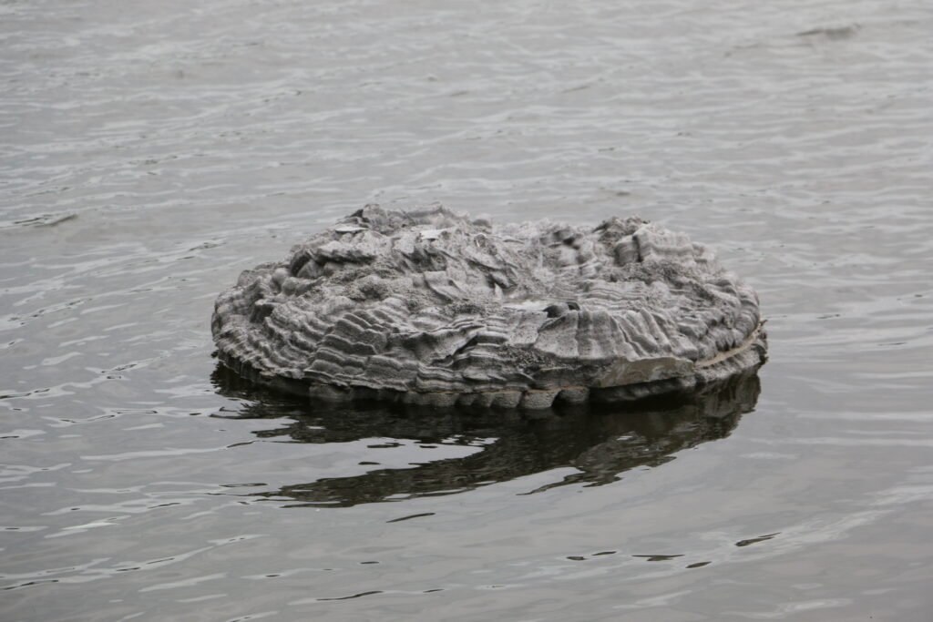 Floating frozen pond