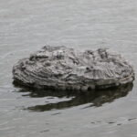 Floating frozen pond
